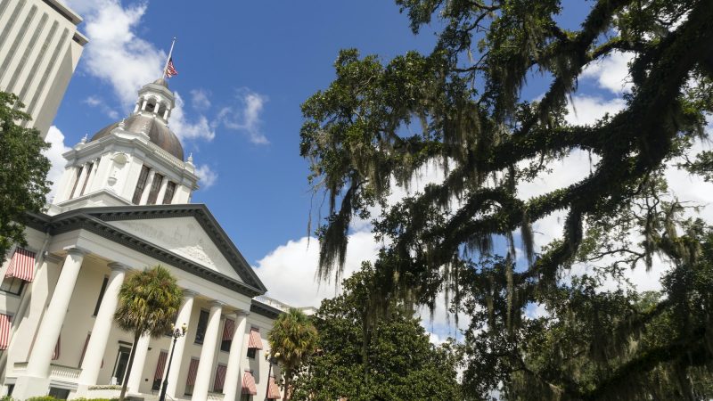 The Florida Statehouse with Blue Skies